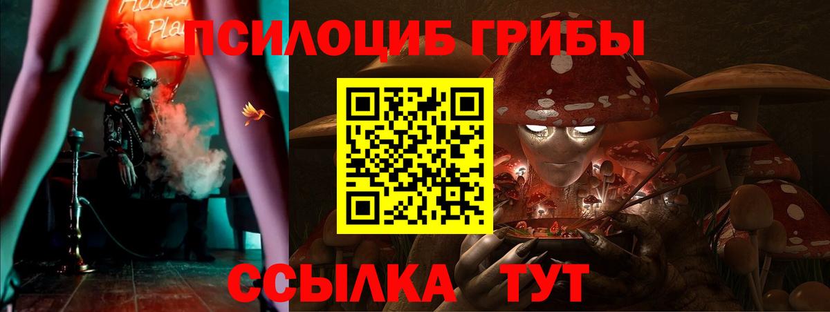Галлюциногенные грибы прущие грибы  Вход с VPN  Гудермес 